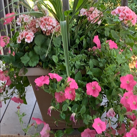 Meet your Posher, James - Picture 1 of 1